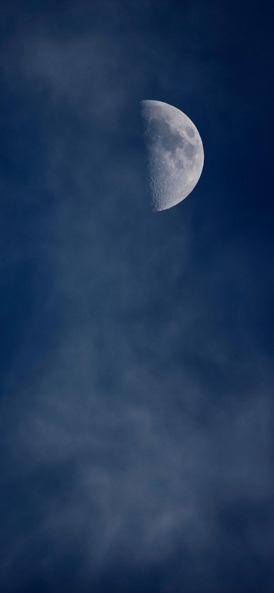 eur App 时间线界面，一条竖直的记录轴，按日期依次排列版本变动与信息更新，节点为玫红色圆点